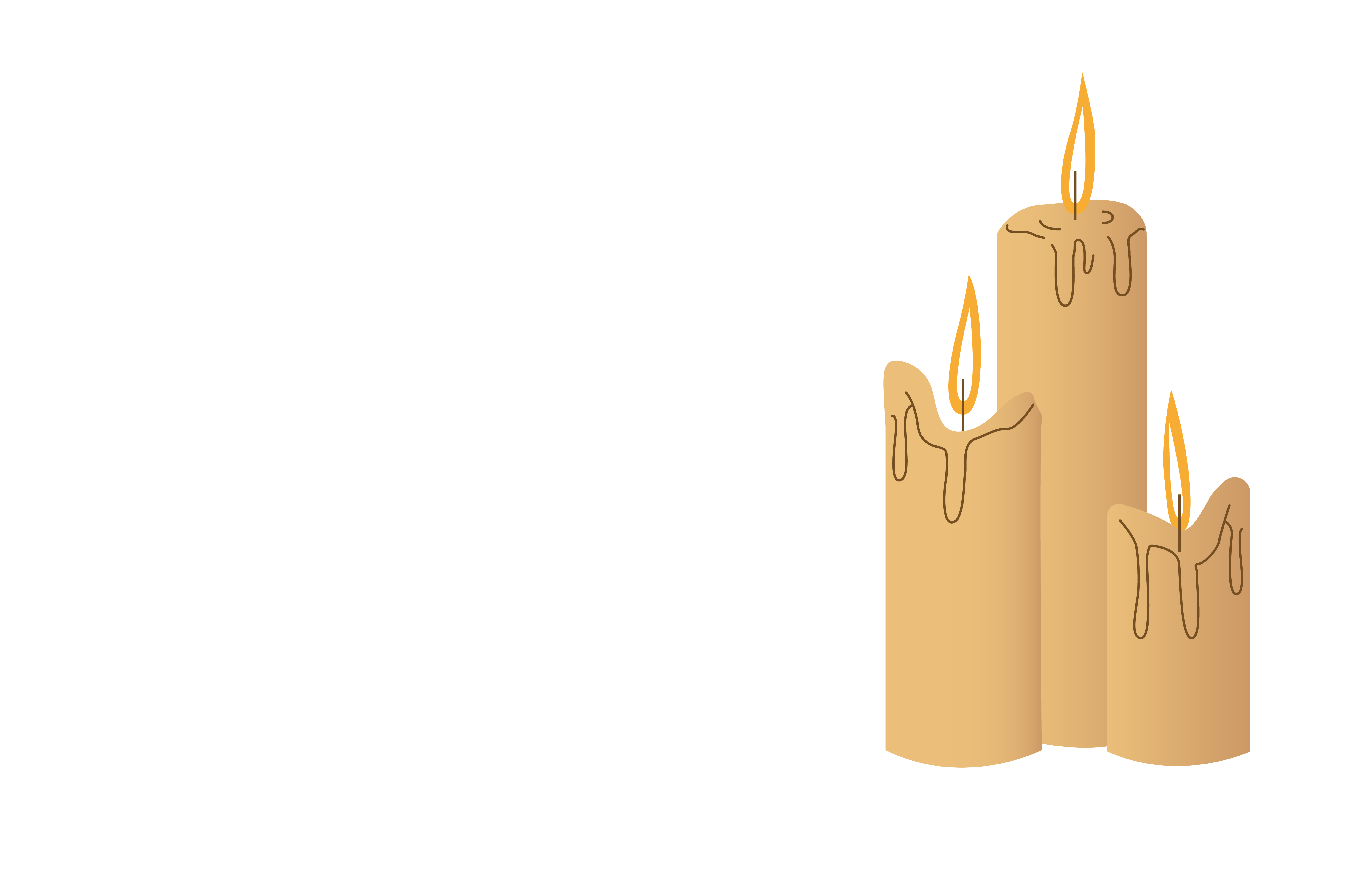 Novo Cofrade